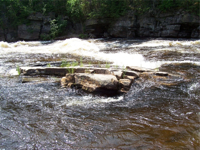 Noire River Rapids